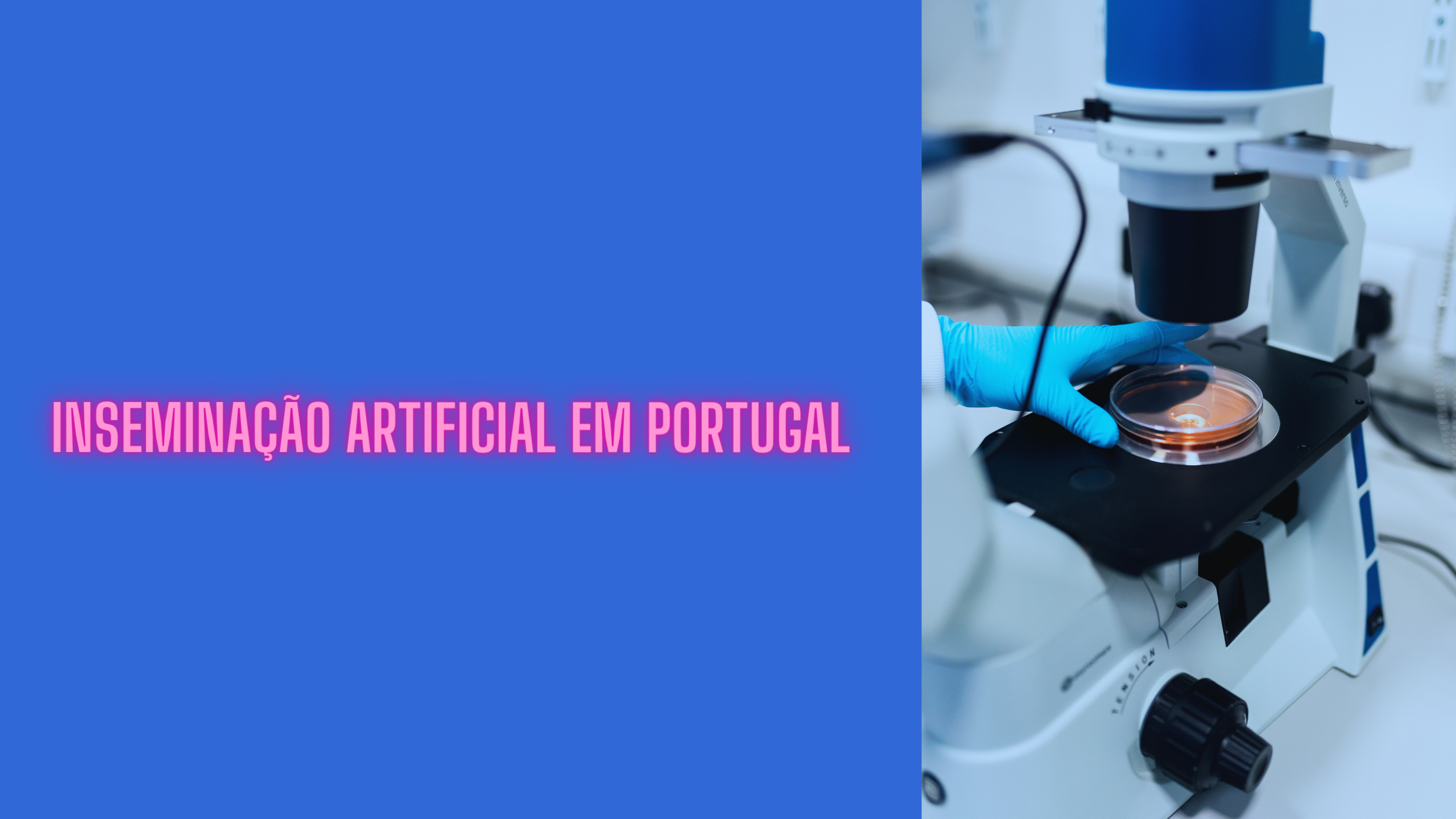Inseminação Artificial em Portugal
